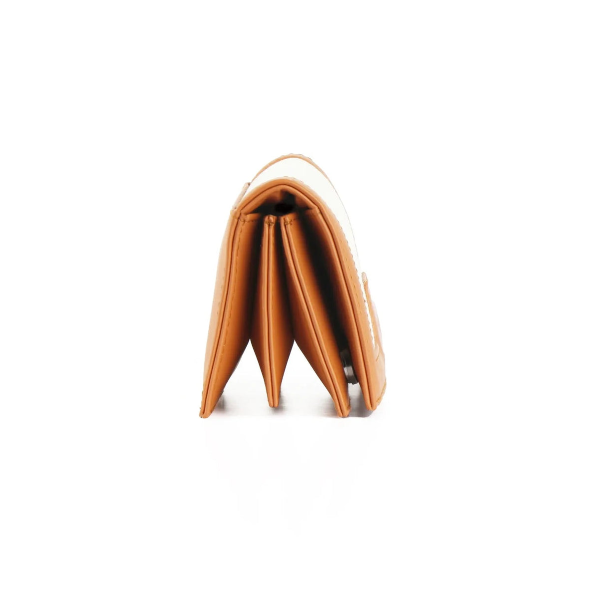 Havana Sleek Elegance Fold Wallet with Vibrant Safari Escape - 3